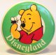 Pooh with bee Disneyland button