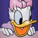 Daisy Duck peek-a-boo Disney coffee mug - 2