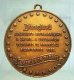 Disneyland America On Parade medallion (with loop) - 1