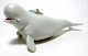 Bailey, the beluga whale ornament