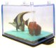 Gill in tank Disney PVC figure - 0