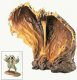 'Volcanic Fury' - Firebird figurine (from 'Fantasia 2000') (Walt Disney Classics Collection)
