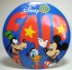Disney Fair button