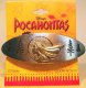 Pocahontas barette with trees (Disney)